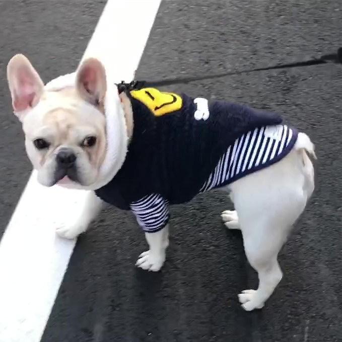 nik フレブルちゃんベストMサイズ フレブル もこもこ ベスト フレンチブルドッグ 服 犬服 ドッグウェア