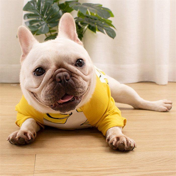 フレブル358です。 犬 服 夏フレブル Tシャツ フレンチブルドッグ 犬服 バナナ ドッグ