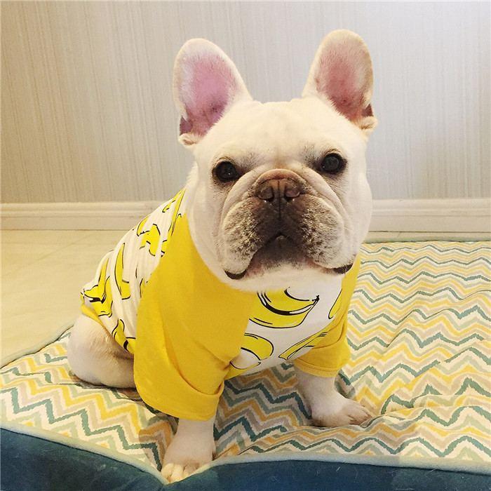 犬 服 夏フレブル Tシャツ フレンチブルドッグ 犬服 バナナ ドッグ
