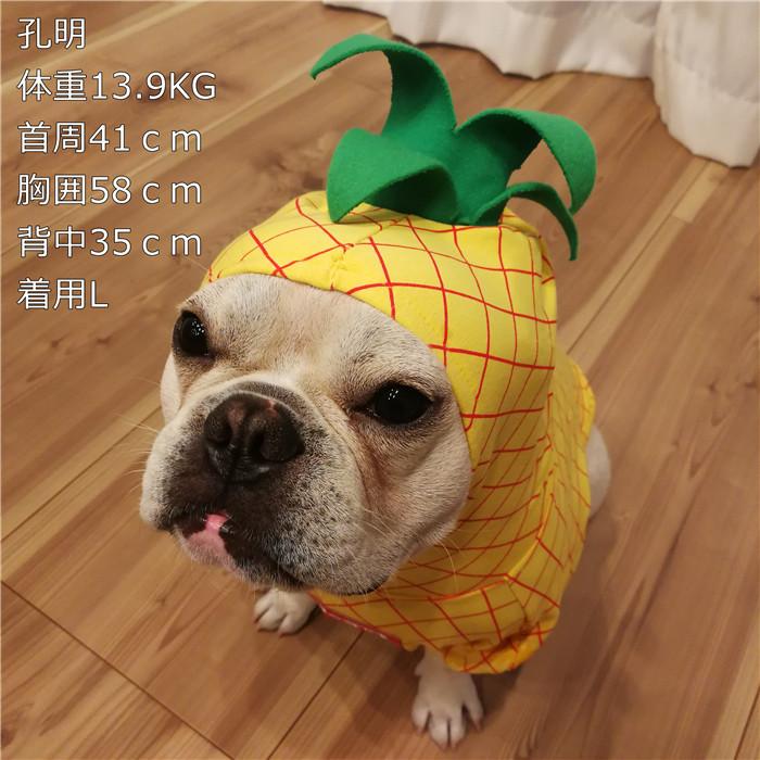犬 服 ハロウィン 仮装 フレブル パイナップル人形 アップル リンゴ