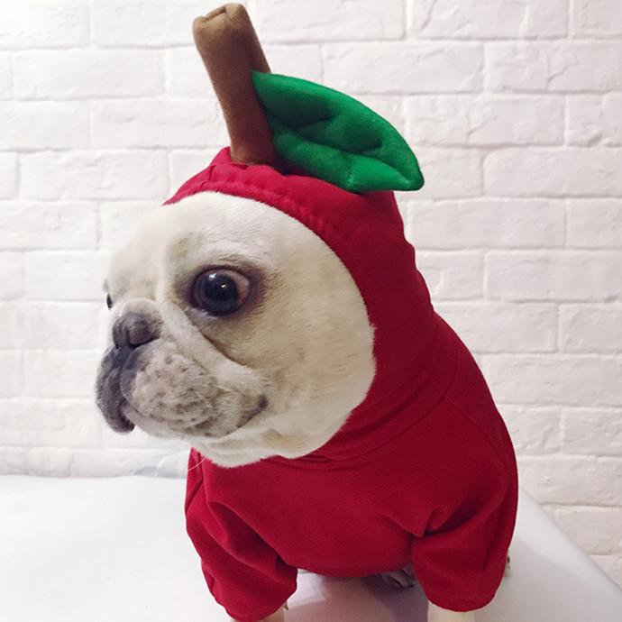 犬 服 ハロウィン 仮装 フレブル パイナップル人形 アップル リンゴ