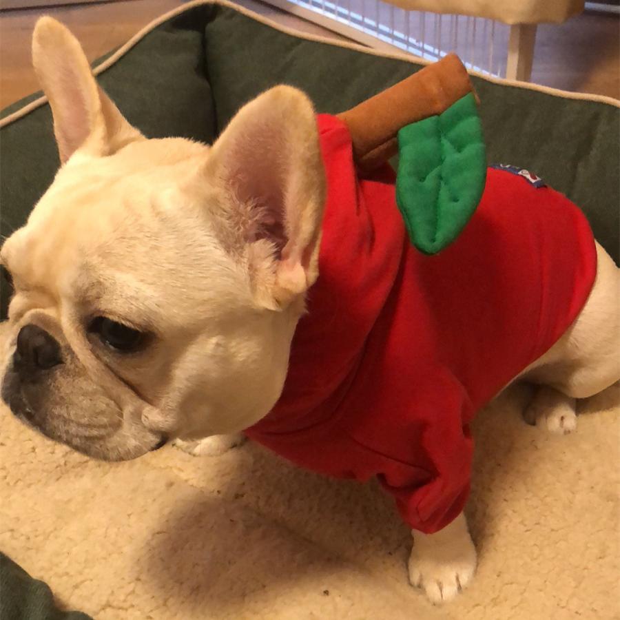 犬 服 ハロウィン 仮装 フレブル パイナップル人形 アップル リンゴ