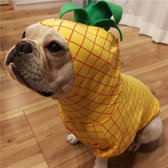 犬 服 ハロウィン 仮装 フレブル パイナップル人形 アップル リンゴ
