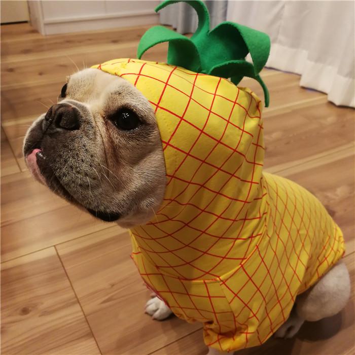 犬 服 ハロウィン 仮装 フレブル パイナップル人形 アップル リンゴ