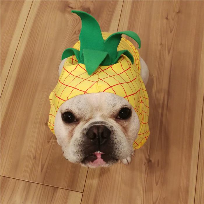 犬 服 ハロウィン 仮装 フレブル パイナップル人形 アップル リンゴ