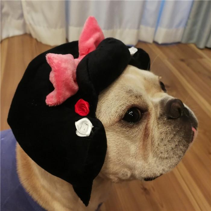 犬 服 ハロウィン コスプレ ちょんまげ 帽子 舞子 侍 時代劇 撮影