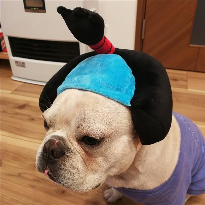 犬 服 ハロウィン コスプレ ちょんまげ 帽子 舞子 侍 時代劇 撮影