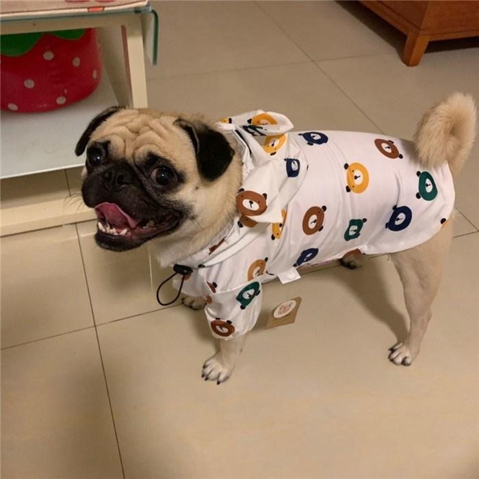 犬服ドッグウェアmilk&pepperレインコート防寒服パーカー　35新品タグ付 犬 服 フレンチブルドッグ レインコート 防水ジャケット 犬服