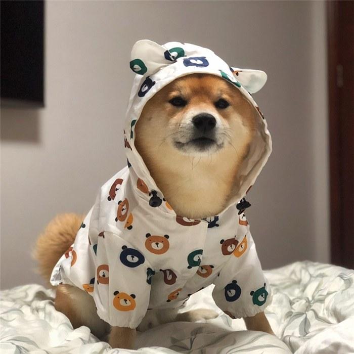 犬 服 フレンチブルドッグ レインコート 防水ジャケット 犬服 ドッグ