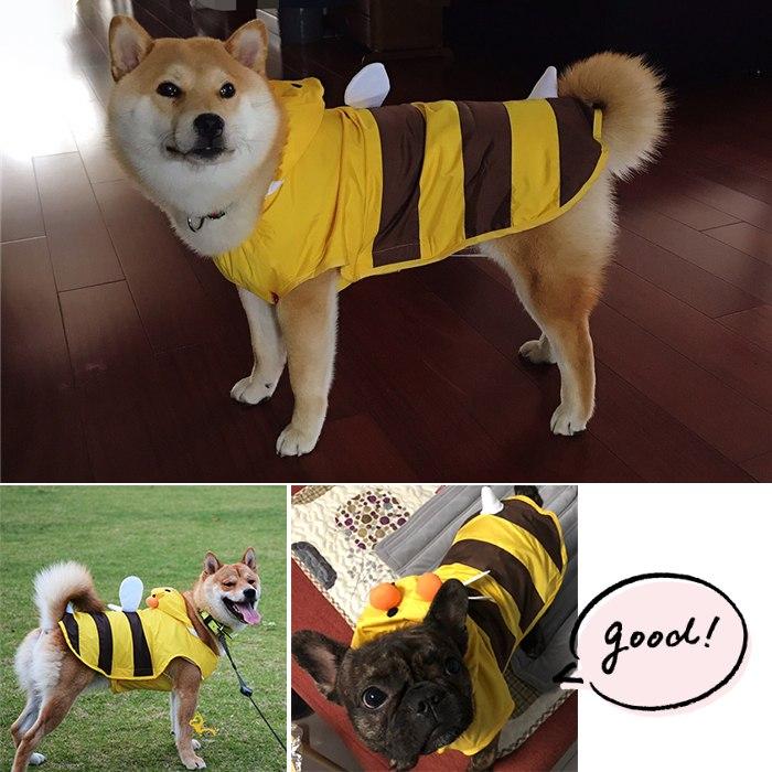 犬 服 フレブル ミツバチ フレンチブルドッグ レインコート 防水