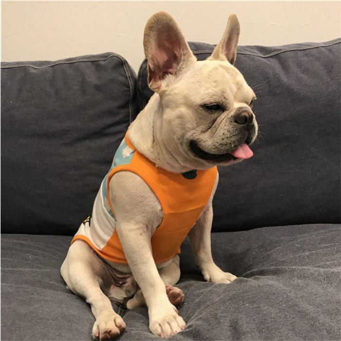 フレブル タンクトップ フレンチブルドッグ 服 犬服 ペットウェア 服 小型犬 中型犬 Km192t Km192t Best Wear 通販 Yahoo ショッピング