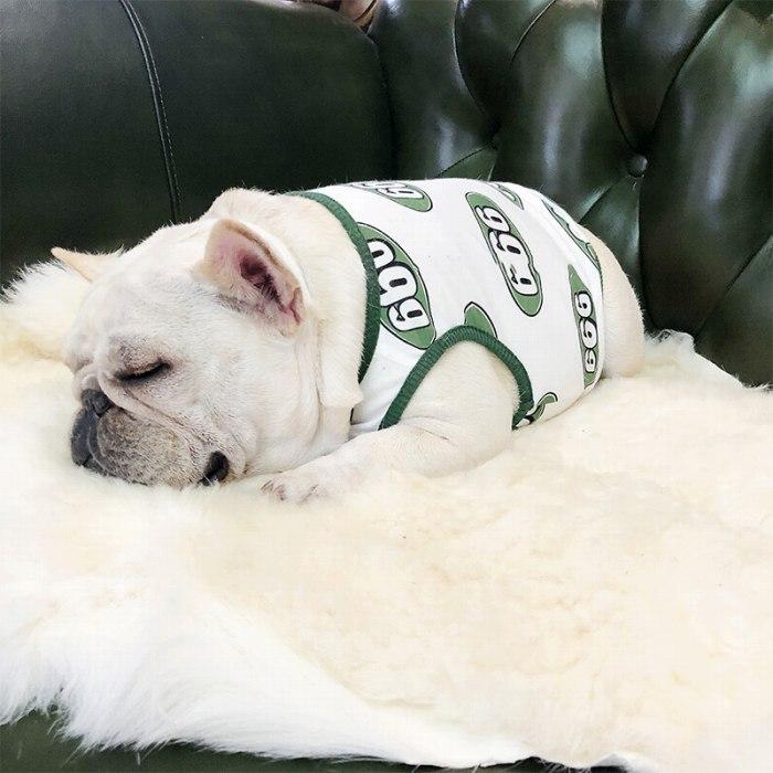 犬 服 フレブル タンクトップ フレンチブルドッグ 犬服 ドッグウェア