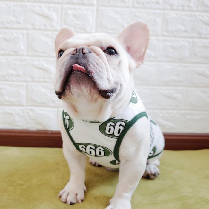 犬 服 フレブル タンクトップ フレンチブルドッグ 犬服 ドッグウェア