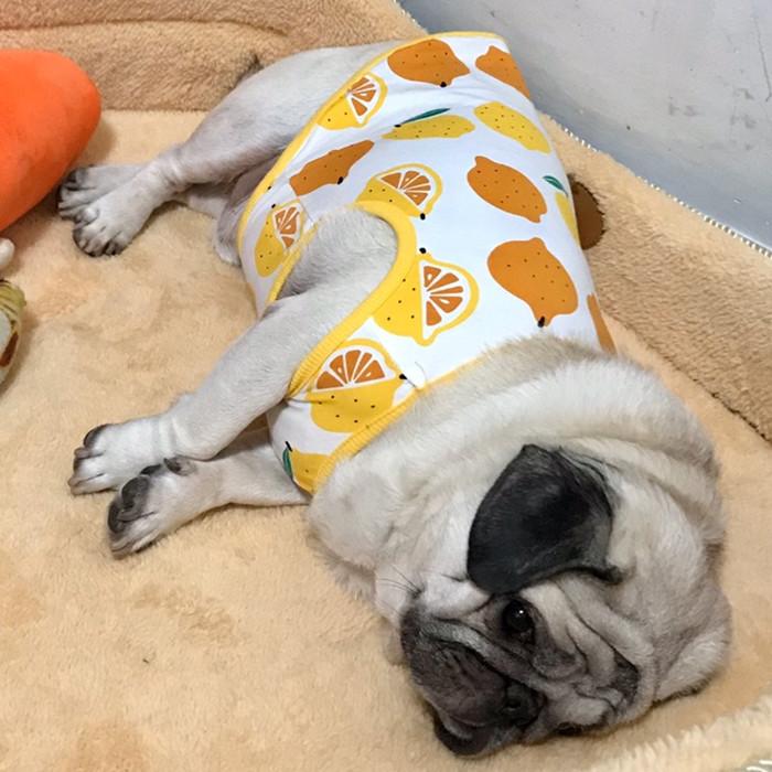 犬 服 フレブル タンクトップ レモン フレンチブルドッグ 犬服 ドッグ