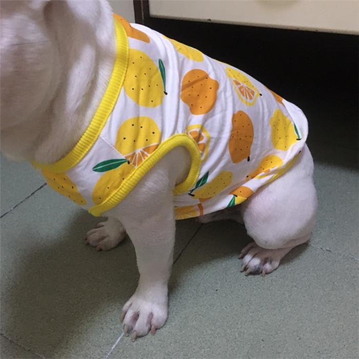 犬 服 フレブル タンクトップ レモン フレンチブルドッグ 犬服 ドッグ