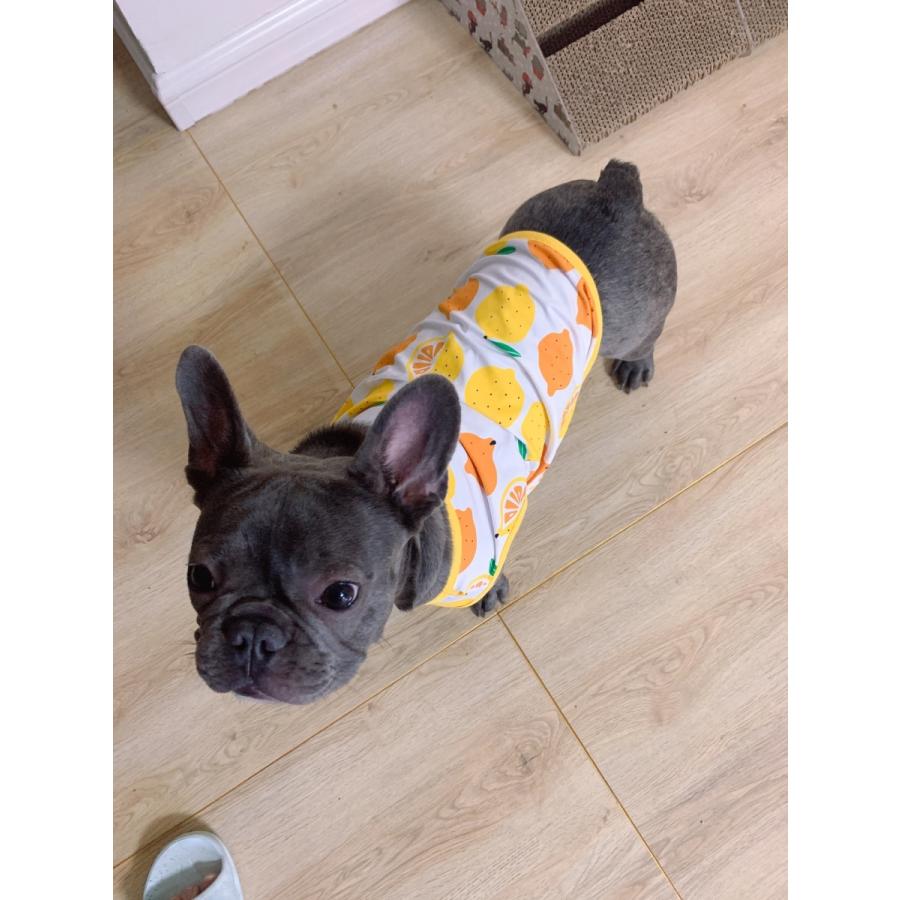 犬 服 フレブル タンクトップ レモン フレンチブルドッグ 犬服 ドッグ