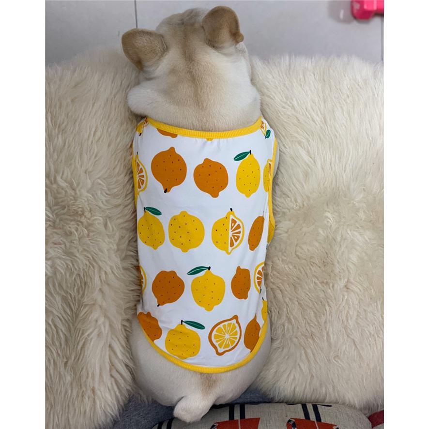 犬 服 フレブル タンクトップ レモン フレンチブルドッグ 犬服 ドッグ