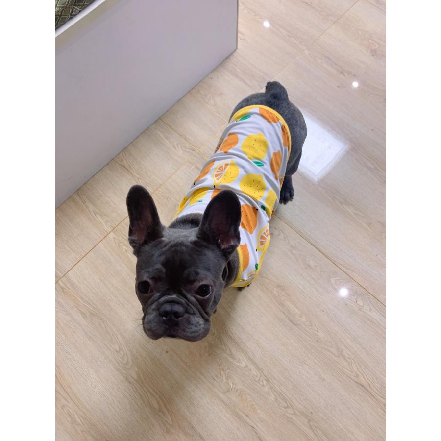 フレブル服　ハンドメード　デカデカドット　 のり 楽天市場】【doggystar ドッギースター】フレブル 服 フレンチ