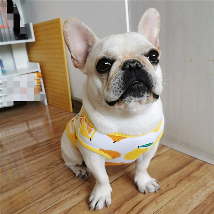 犬 服 フレブル タンクトップ レモン フレンチブルドッグ 犬服 ドッグ