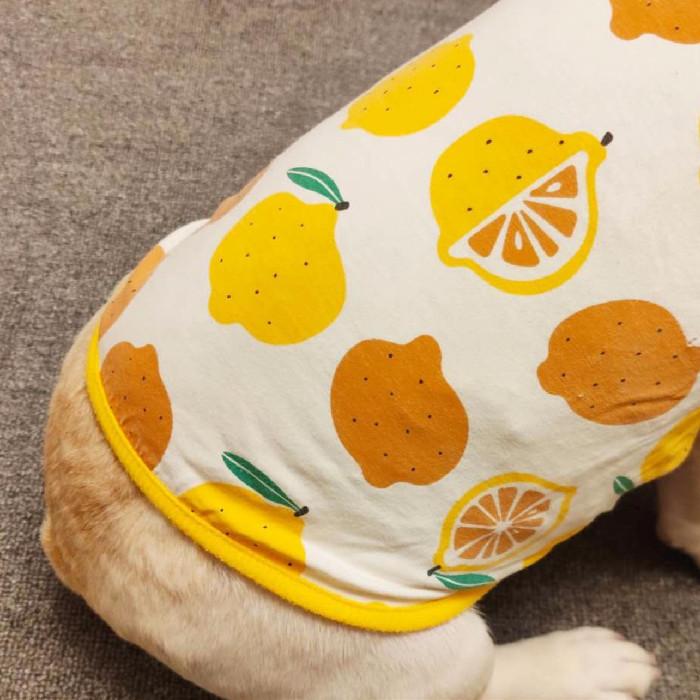 犬 服 フレブル タンクトップ レモン フレンチブルドッグ 犬服 ドッグ