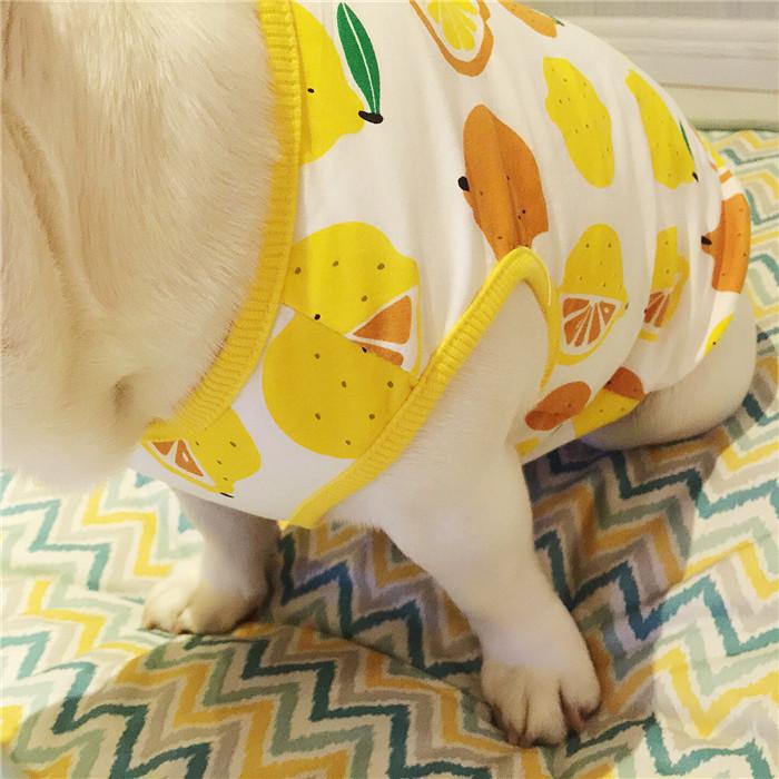 犬 服 フレブル タンクトップ レモン フレンチブルドッグ 犬服 ドッグ