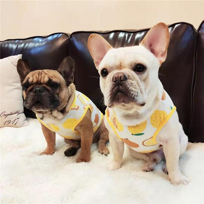 犬 服 フレブル タンクトップ レモン フレンチブルドッグ 犬服 ドッグ
