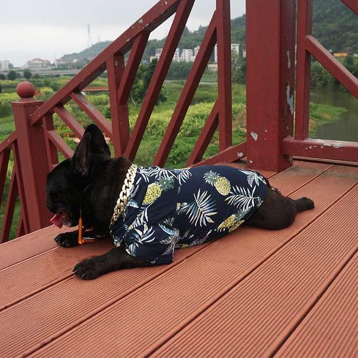 犬 服 フレンチブルドッグ アロハシャツ 海 フレブル 中型犬 シャツ サマーシャツ お洒落 ヤンキー Km211ts Km211ts Best Wear 通販 Yahoo ショッピング