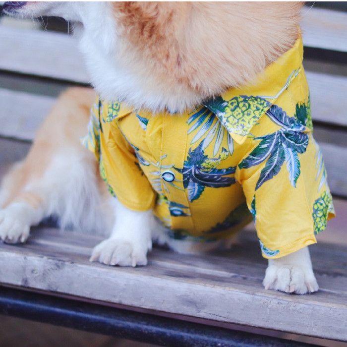 犬 服 フレンチブルドッグ アロハシャツ 海 フレブル 中型犬 シャツ