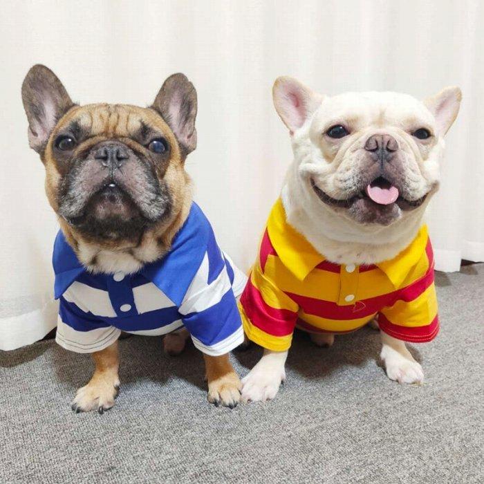 犬 服 フレンチブルドッグ ネットワーク全体の最低価格に挑戦 フレブル服 中型犬 襟付きシャツ ボーダー ポロシャツ Km224ts ブルー イエロー ストライプ柄 犬服 お洒落