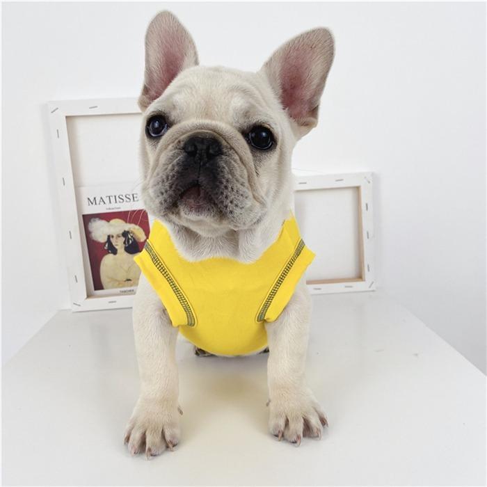 GUCCI 犬服　ダウン中綿 GUCCI 犬服 ダウン中綿 2025年最新】GUCCI 犬服の人気アイテム - メルカリ