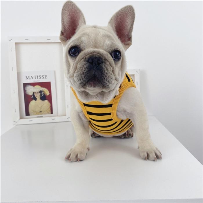 犬服 春夏 フレンチブルドッグ フレブル タンクトップ 犬 服 ペット