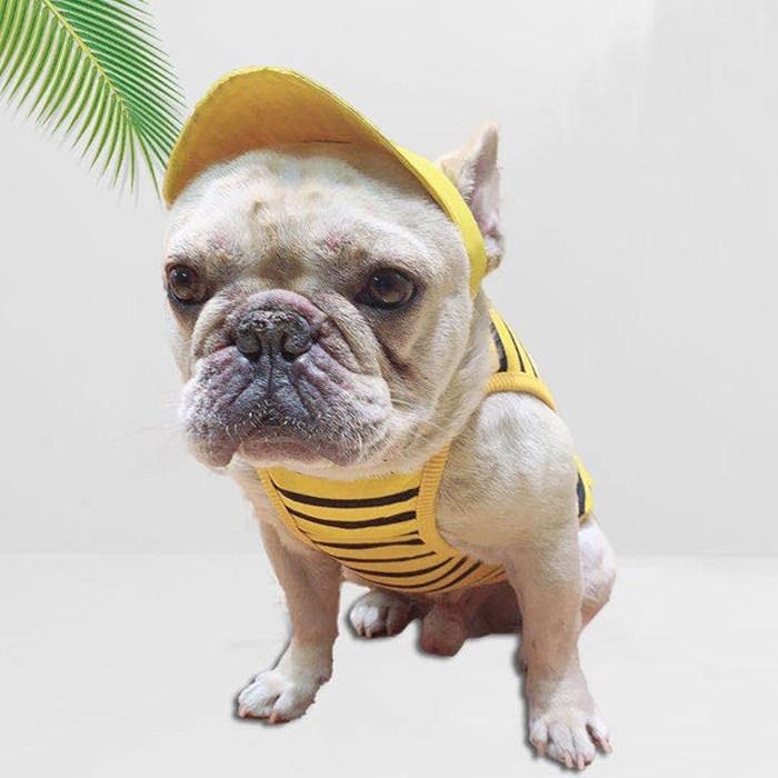 【じょせふぃーぬ】フレブルタンクトップ 楽天市場】フレンチブルドッグ フレブル タンクトップ 春 夏