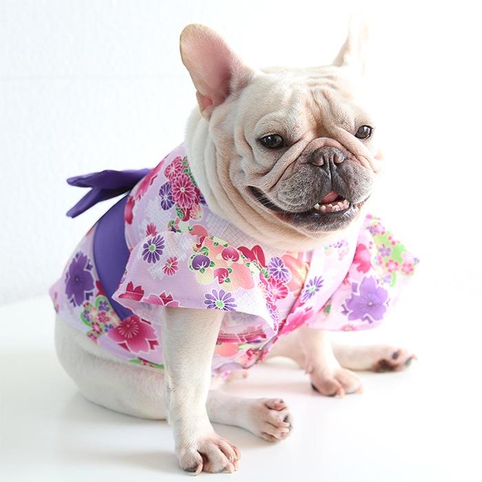 浴衣 犬用 フレンチブルドック服 フレブル ゆかた 薄手 かわいい 和風