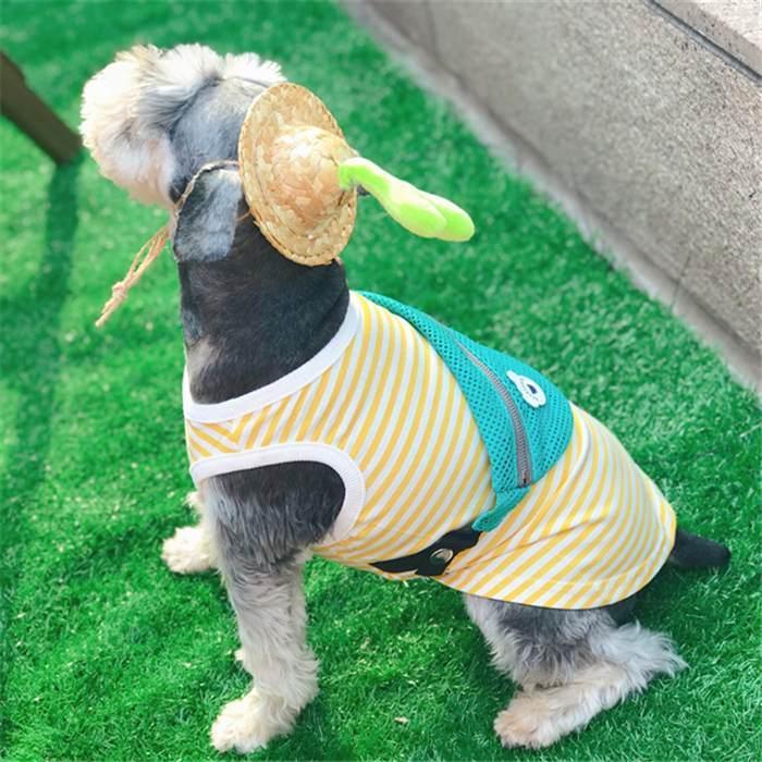 フレブル服　キャミタンク バックタンク M1号 犬 服 かばん付き タンクトップ フレブル フレンチブルドッグ ペット服