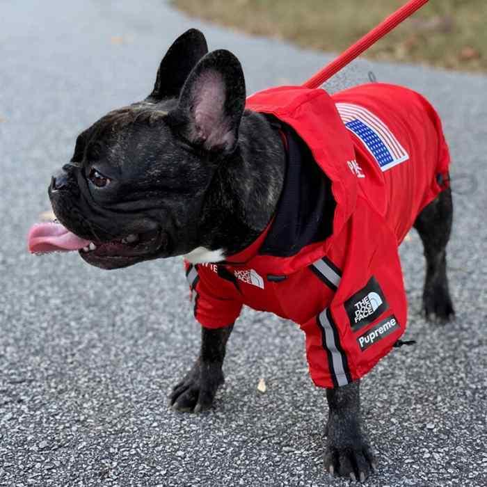 【SALE返品交換不可】犬 レインコート 服 中型犬 ヤッケ 防寒 防風 フレブル フレンチブルドッグ 防水ジャケット ドッグウェア KM255JK｜bluedays｜09