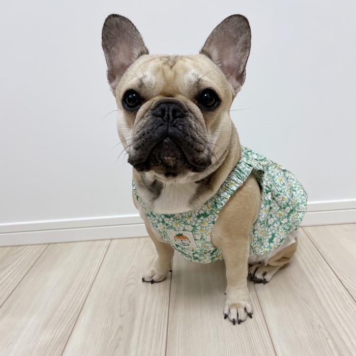 【新品未使用】 犬用ウェア グリーン Sサイズ 犬服 春 夏 ワンピース フレンチブルドッグ 服 中型犬 小型犬 フレブル