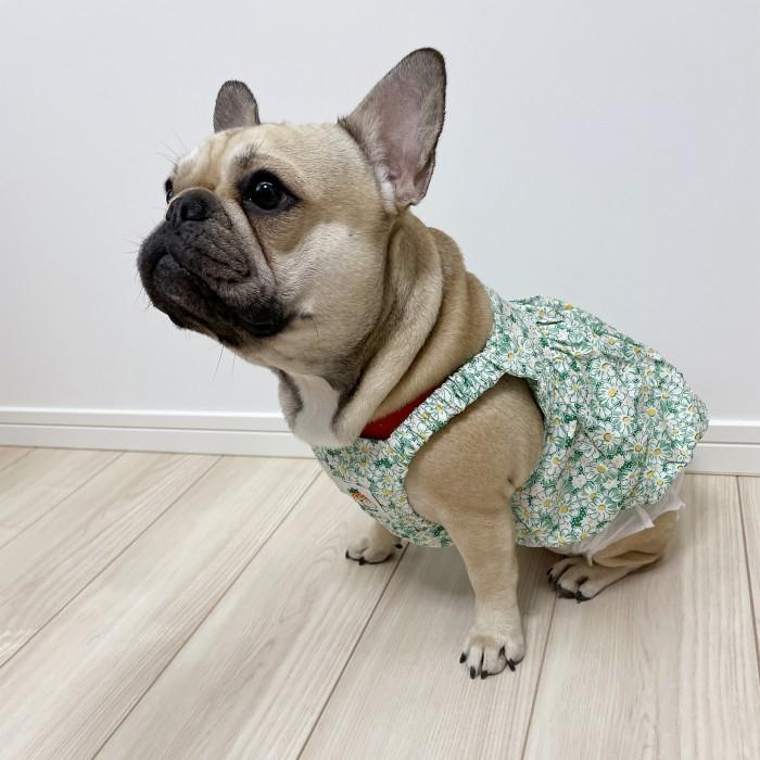 犬服 春 夏 ワンピース フレンチブルドッグ 服 中型犬 小型犬 フレブル
