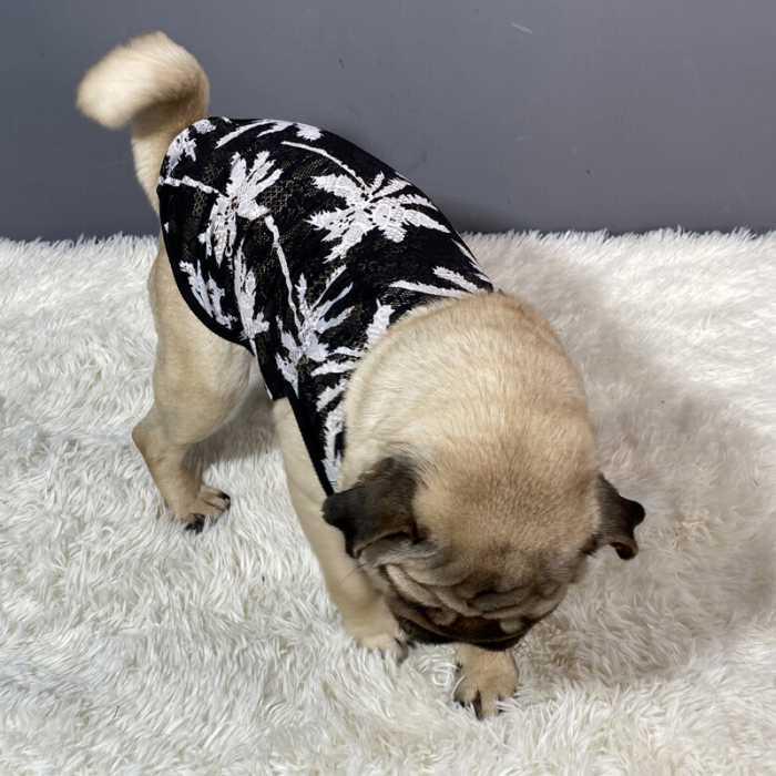 犬 服 フレブル メッシュタンクトップ フレンチブルドッグ 犬服 ドッグ