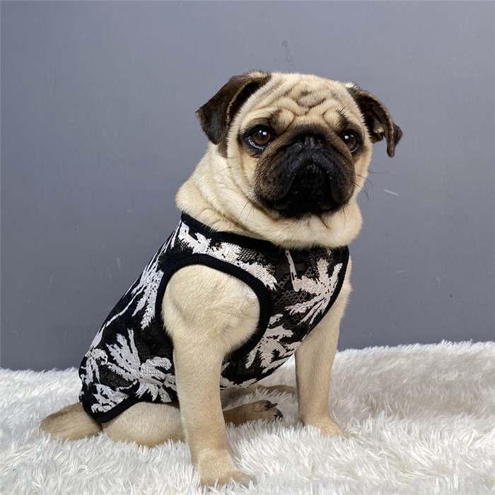 犬 服 フレブル メッシュタンクトップ フレンチブルドッグ 犬服 ドッグ