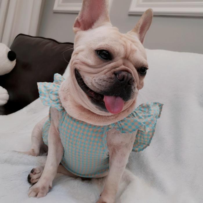 メール便なら送料無料 フレンチブルドッグ 服 フリフリ タンクトップ キャミソール 女の子 チェック柄 犬 パピー春 夏 小型犬 中型犬 かわいい オシャレ トイプードル チワワ 柴犬 Discoversvg Com