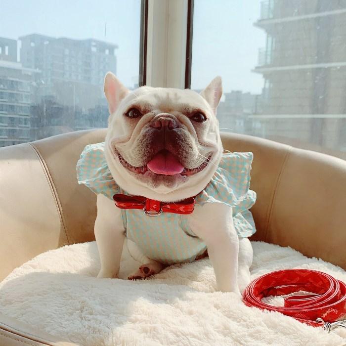 フレブル服　キャミタンク cute オーガニック　 ピンク　　くるみ フレブル服 キャミタンク cute オーガニック ピンク くるみ