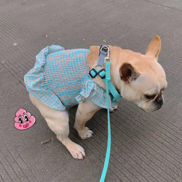 犬 フレブル フレンチブルドッグ パグ 服 チェック柄ワンピース