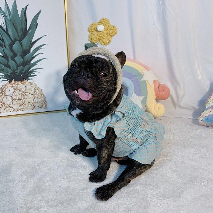 犬 フレブル フレンチブルドッグ パグ 服 チェック柄ワンピース