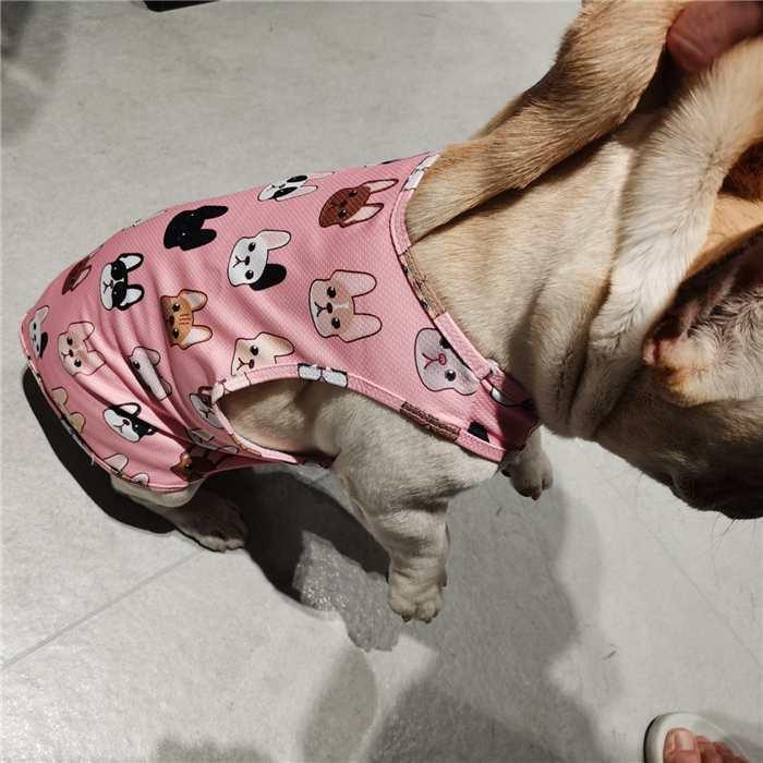 夏 ペット服 クール 接触冷感ひんやり 冷却フレブル タンクトップ フレンチブルドッグ フレンチブルドッグ柄 犬 服 ペットウェアkm286t Km286t Bestwear 通販 Yahoo ショッピング