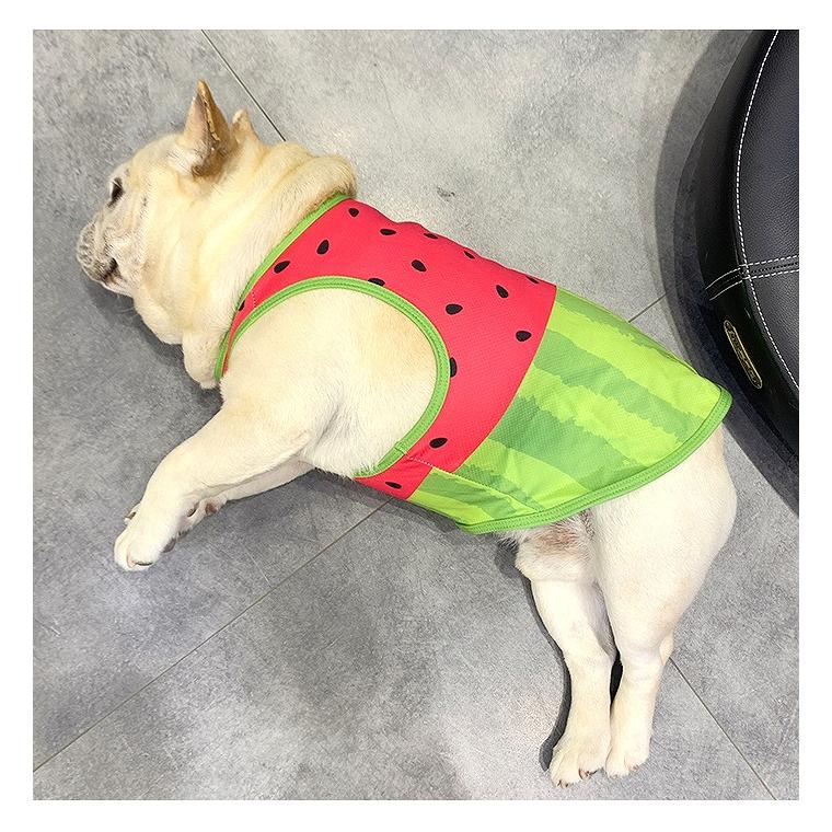 犬 服 接触冷感 ひんやり スイカ柄タンクトップ 濡らしてひんやり
