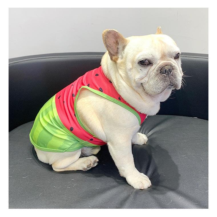 犬 服 接触冷感 ひんやり スイカ柄タンクトップ 濡らしてひんやり