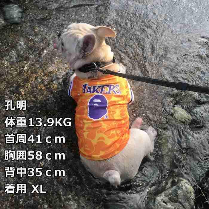 タンクトップ フレンチブルドッグ 犬 服 ペット服 犬用服 フレブル