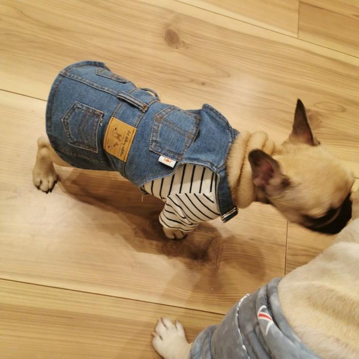 犬 服 フレンチブルドッグ デニム ワンピース 春 夏 秋 冬 中型犬 小型