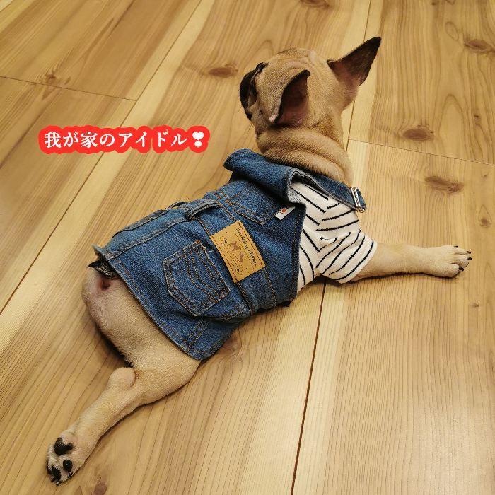 犬 服 フレンチブルドッグ デニム ワンピース 春 夏 秋 冬 中型犬 小型