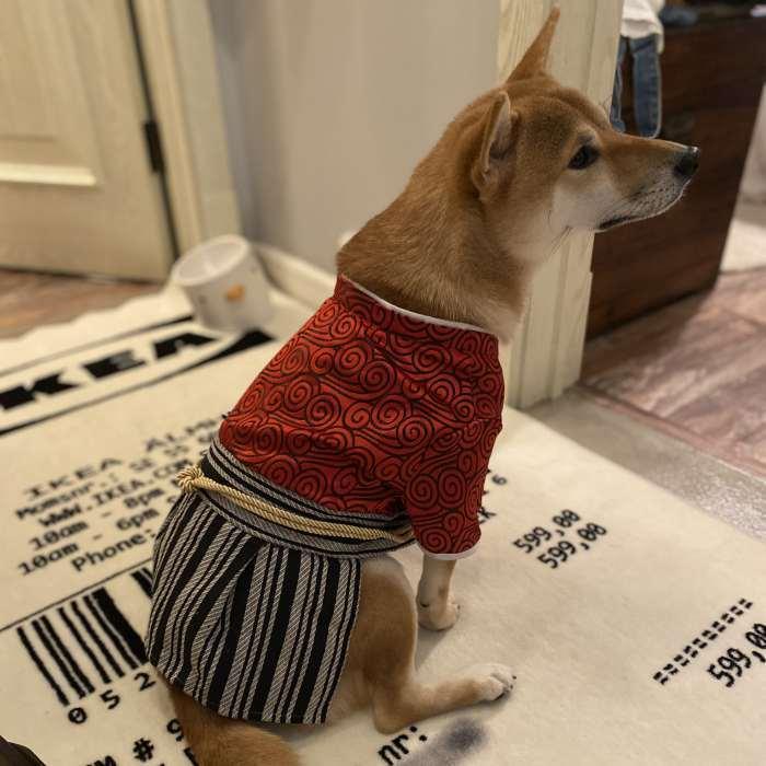 犬 服 着物 晴れ着 袴 正月フレブル パグ 小型犬 中型犬 犬用着物